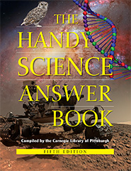 Handy Science 5e